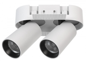 Retractable Trimless Frameless Double Round Oval Ellipse Dimming Folding Adjustable Tube Ceiling Spotlight Directional Cylinder Rotation Honeycomb Anti-Glare Downlight Triac 0-10V Dali Focus Light