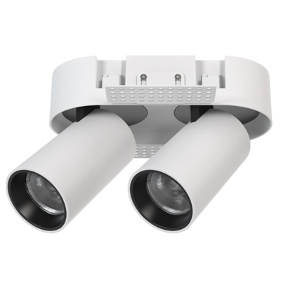 Retractable Trimless Frameless Double Round Oval Ellipse Dimming Folding Adjustable Tube Ceiling Spotlight Directional Cylinder Rotation Honeycomb Anti-Glare Downlights Aluminum Emergency Triac 0-10V Dali Focus Light