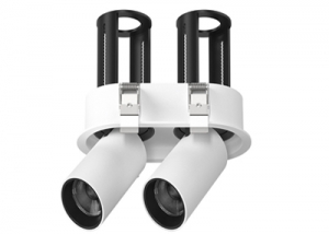 Stretchable Retractable Embedded Double Pull-Out Multiple In-Out Oval Ceiling Downlight Directional Adjustable Cylinder Tilted Telescopic Rotation Swivel Tube Led Honeycomb Spotlight