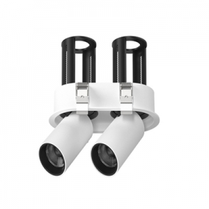 Stretchable Retractable Embedded Double Pull-Out Multiple In-Out Oval Ceiling Downlight Directional Adjustable Cylinder Tilted Telescopic Rotation Swivel Tube Led Honeycomb Spotlight