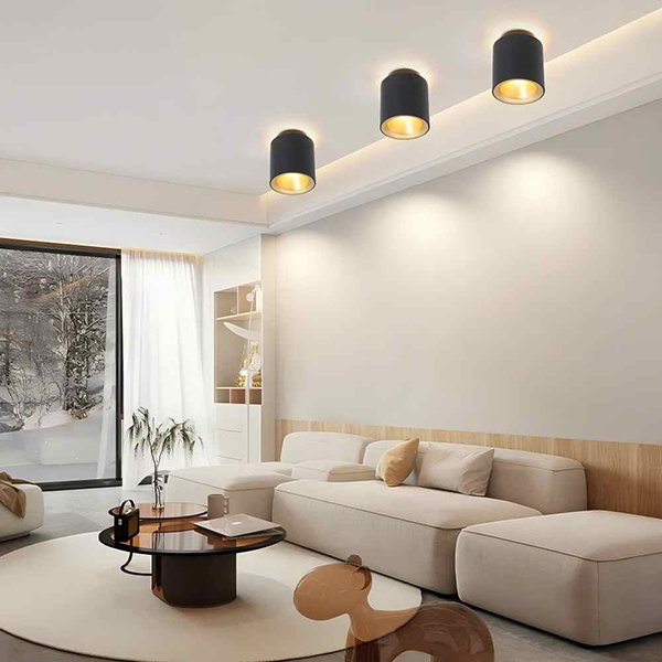 12W 20W 30W Scene Switch Up-Down & Tri-color LED Surface Spot Light For Home & Decoration Anti-Glare Surface Accent Ceiling Spot & Pin Light Fixed Aluminum Cylindrical Surface Mounted Spot Downlight-2