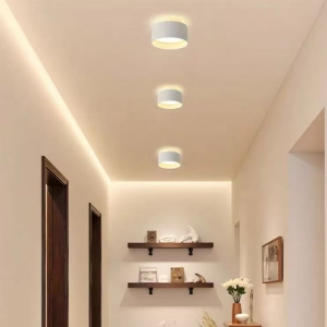 15W 20W LED Surface Mounted Spot Light Round Scene Switch Up-Down LED Surface Light for Home & Decoration Anti-Glare Aluminum Surface Cylinder Ceiling Downlight Spotlight White-1