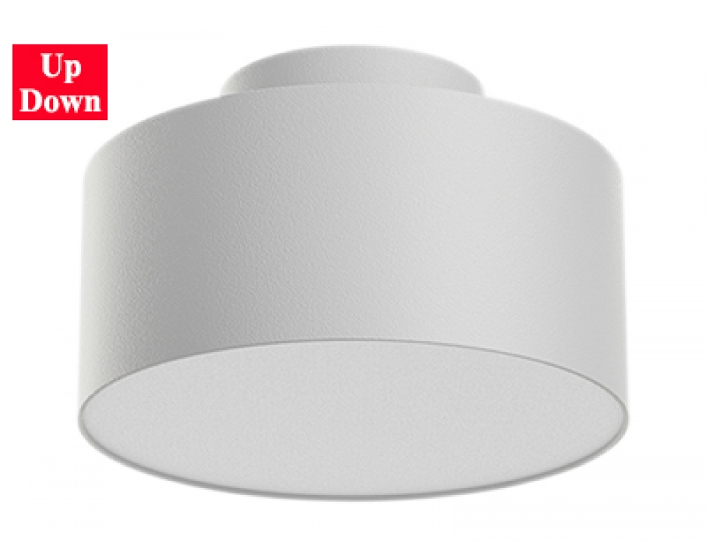 Scene Switch Up-Down Surface & Flush Mount Nordic Cylinder Spot Down Light