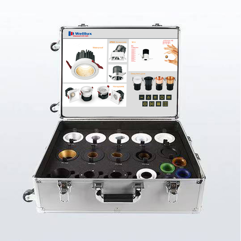 IP65 Waterproof Downlights Modular Pin Fixed Adjustable Directional Spotlight Pinhole Ellipse Wall Wash Eyeball Antiglare Triac 0-10V Dali dimming Sample Case Welllux