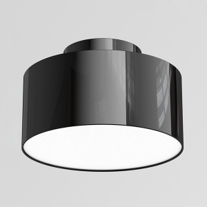 Scene Switch Up-Down LED Surface & Flush Mount & Semi Flush Nordic Scandinavia Cylinder Ceiling Sconce Highlighter Ambiance Spotlight Downlight-3