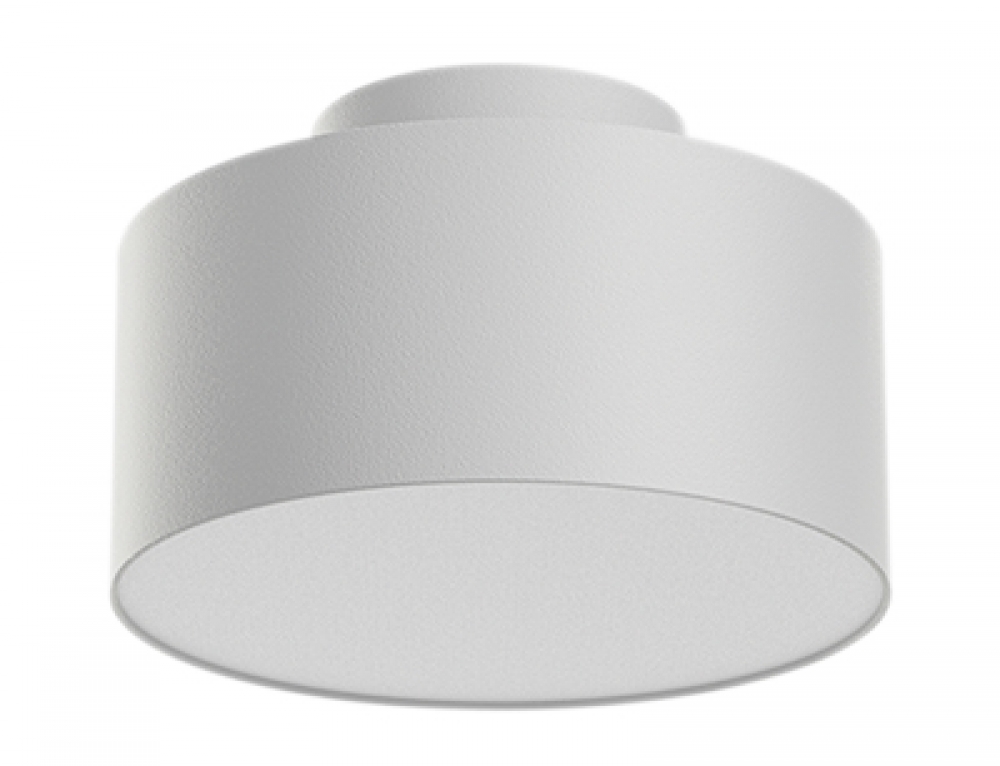 Scene Switch Up-Down Surface & Flush Mount Nordic Cylinder Spot Down Light