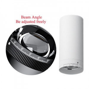 Zoomable Adjustable Beam-Angle 10-55° Fixed Surface Cylindrical Ceiling Focus Accent Spot Down Light Flicker-Free Wash Accent Task Display Artwork lighting White